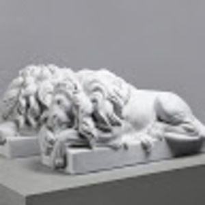 Meet your Posher, Oscar